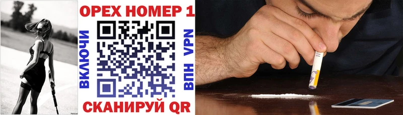 мега ТОР  Сураж  Кокаин Эквадор 