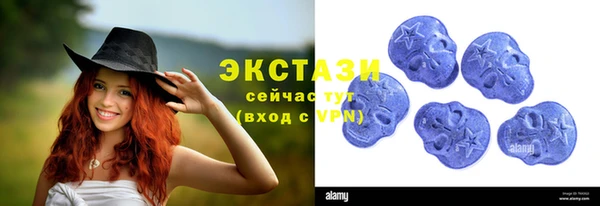амф Козельск