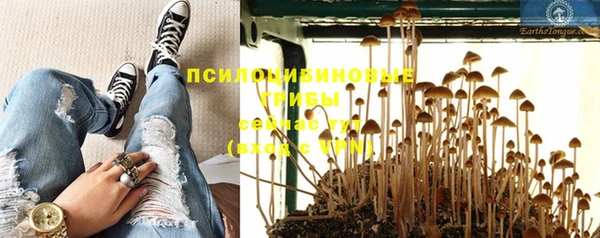 ECSTASY Козловка