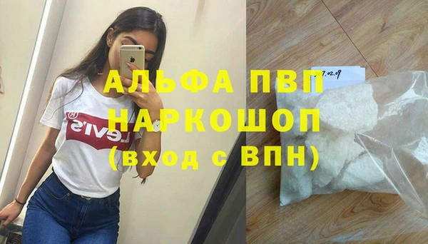 амф Козельск
