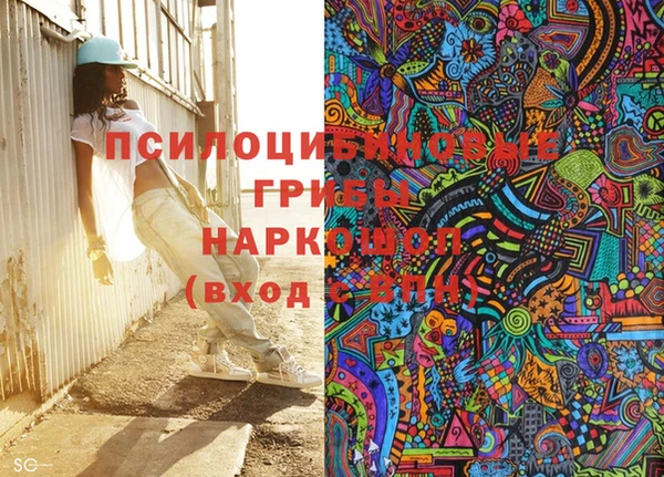 твердый Коряжма